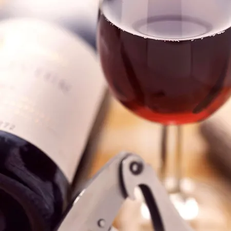 Ibis Plaza Glories 22@ Hotel